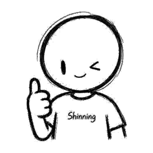 Work | Shinning